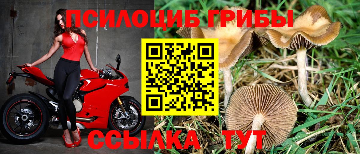Галлюциногенные грибы Psilocybe  Псилоцибиновые грибы ЛСД  Кунгур  Вход с VPN 